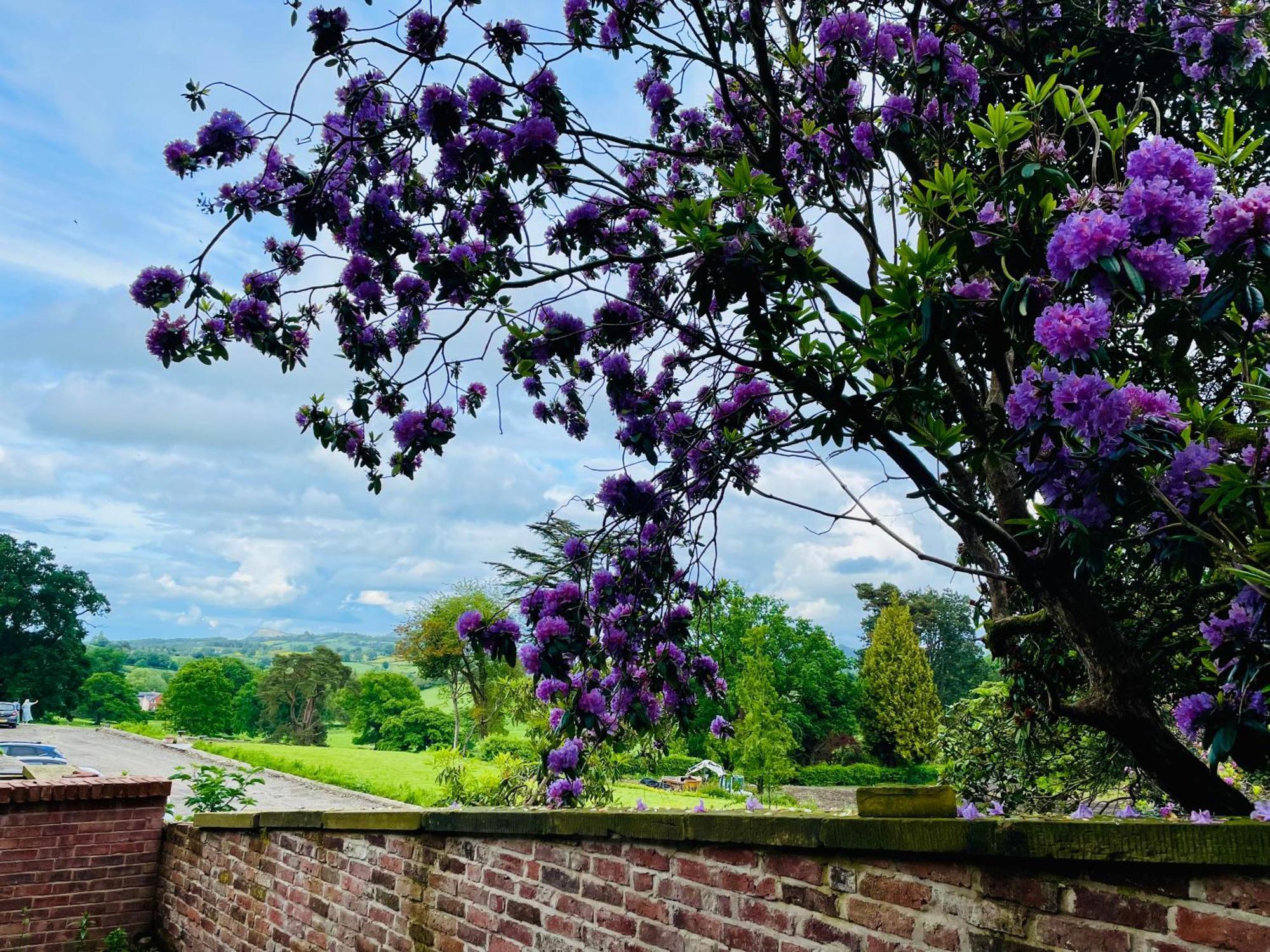 Llanerchydol Hall Suites Welshpool Exterior foto
